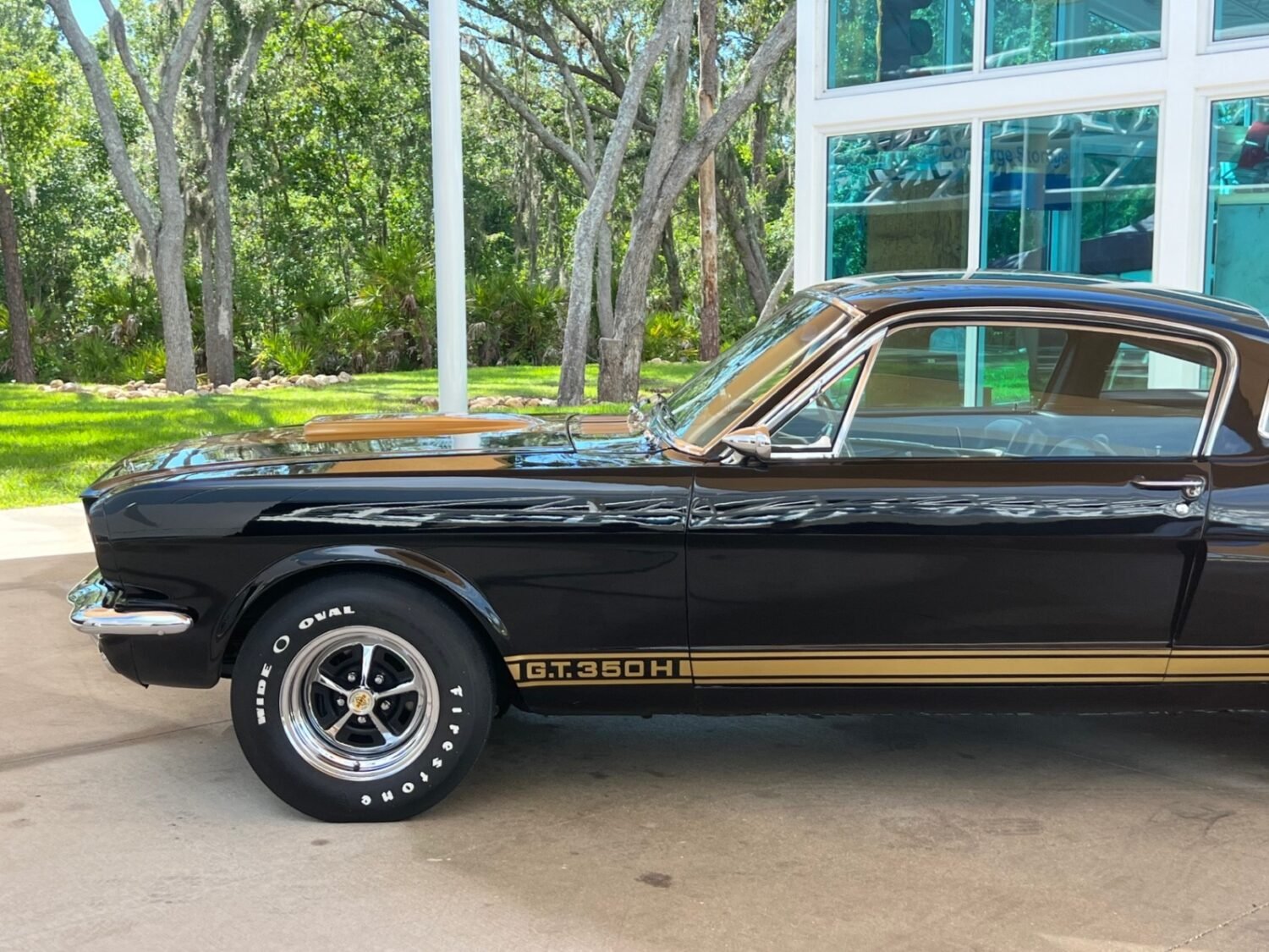 15-1748975440814-d4d480