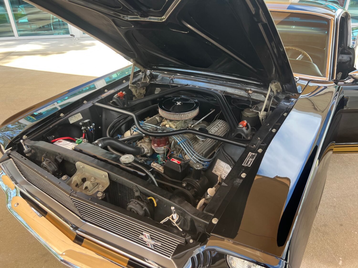 18-1748975808194-sxazkd