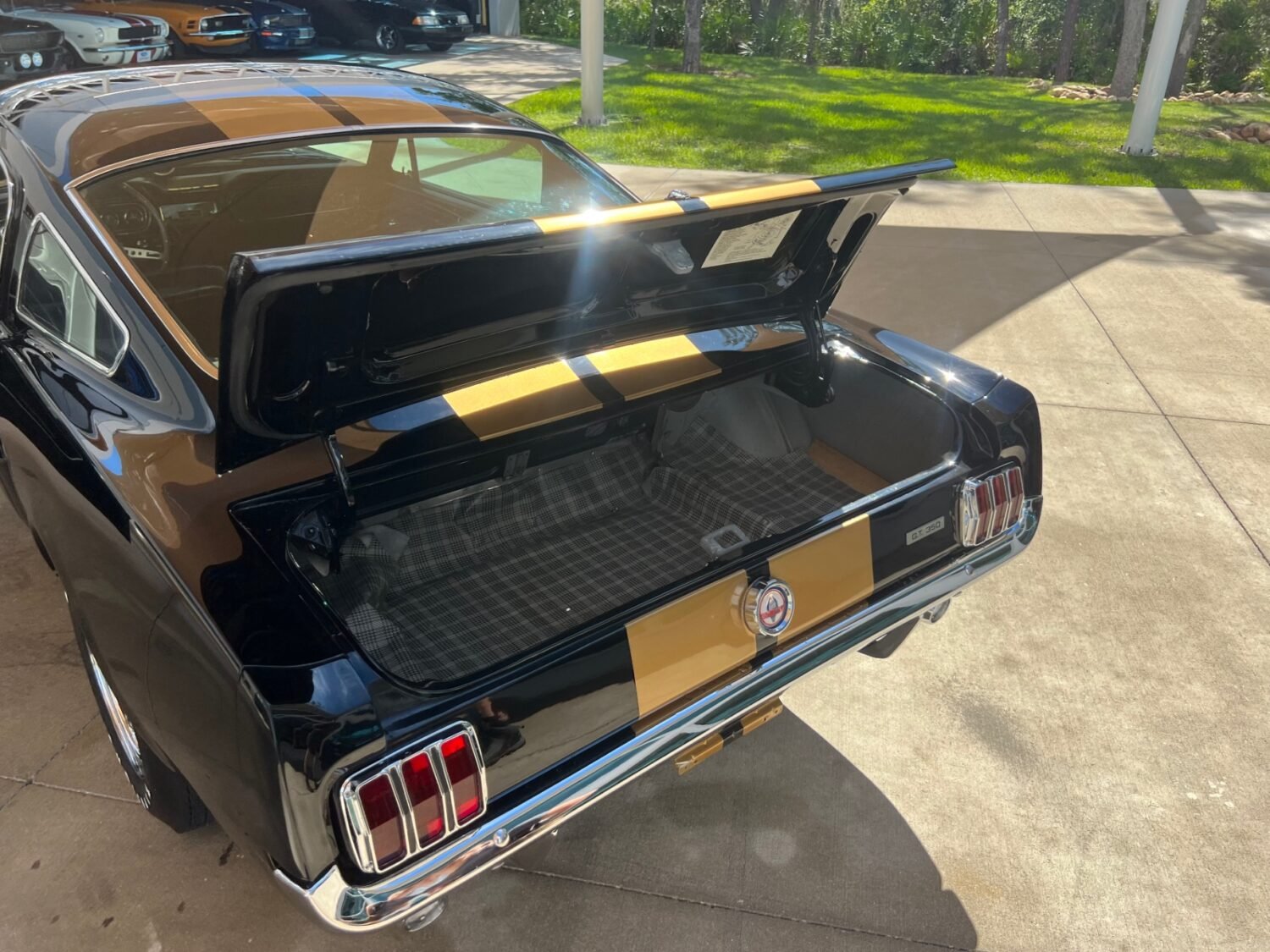 28-1748977301192-wgnvis