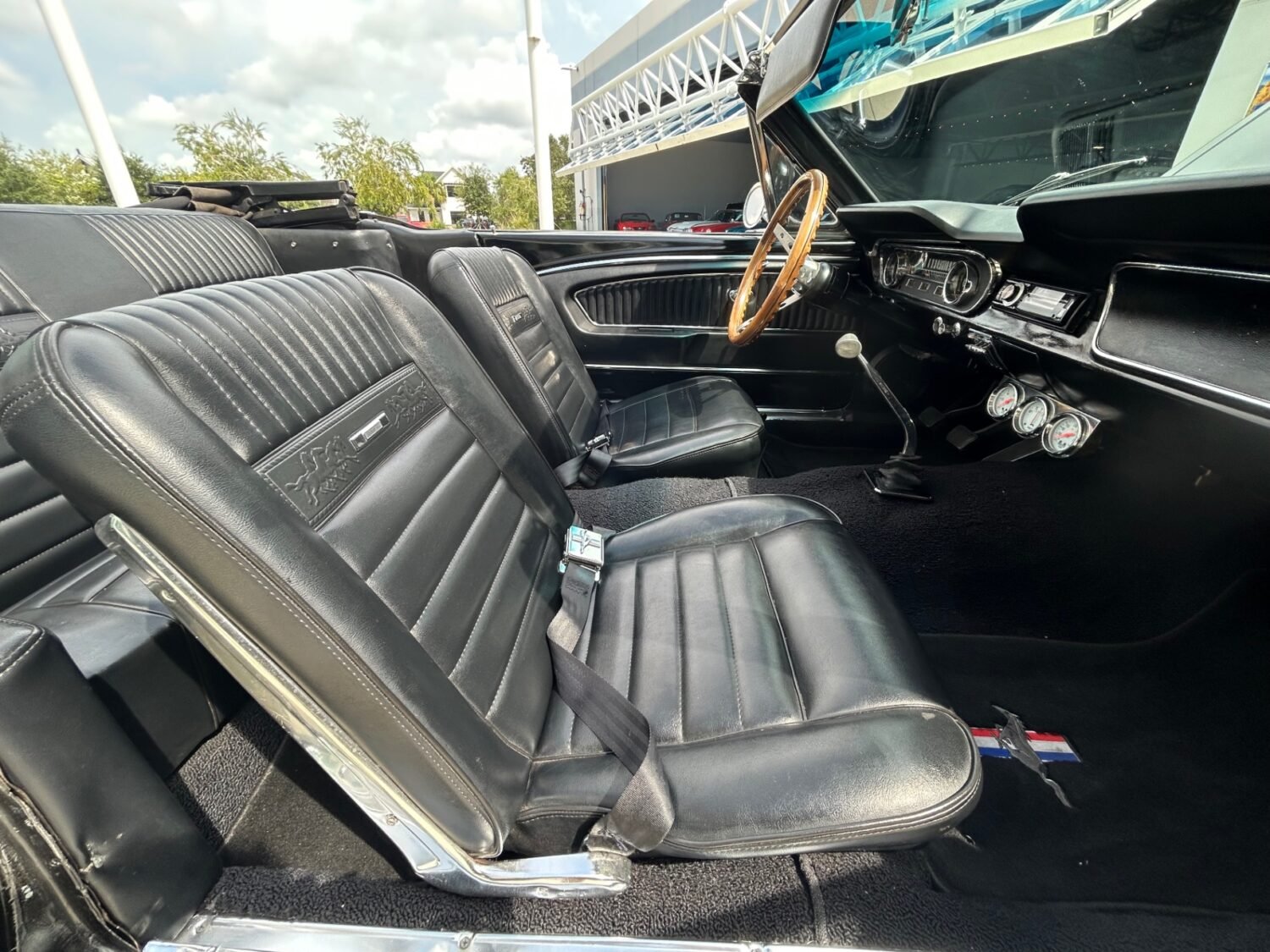 31-1748982938372-df1spq