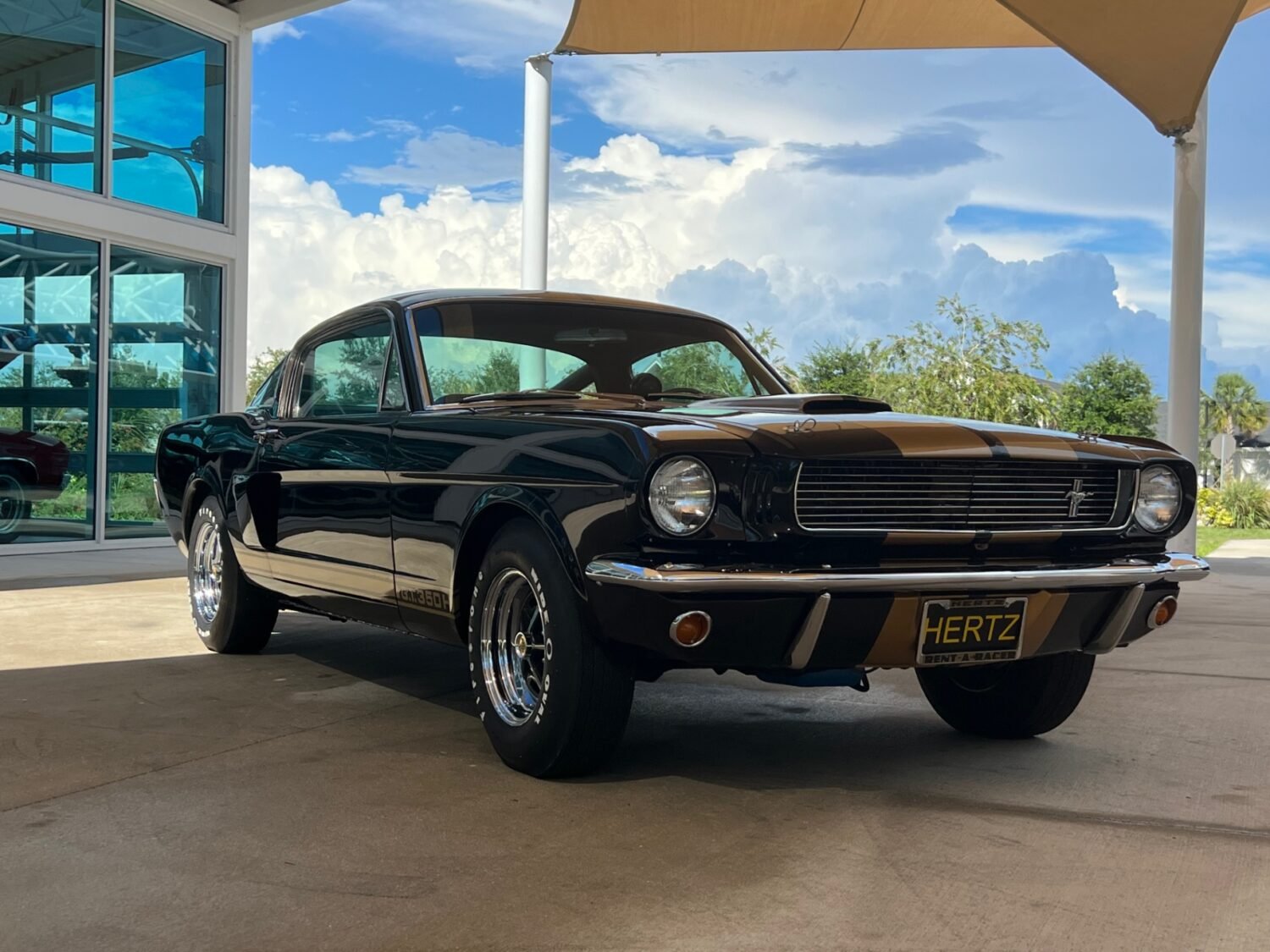 5-1748974183559-o45pw0