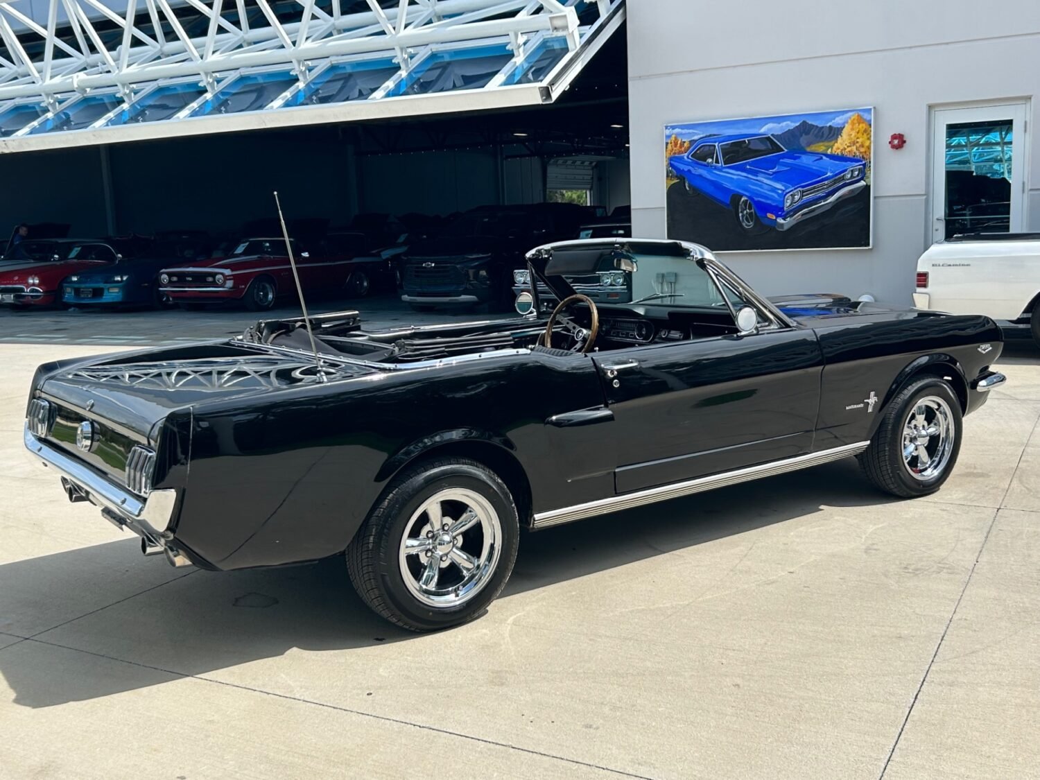 5-1748974284507-3f6us9