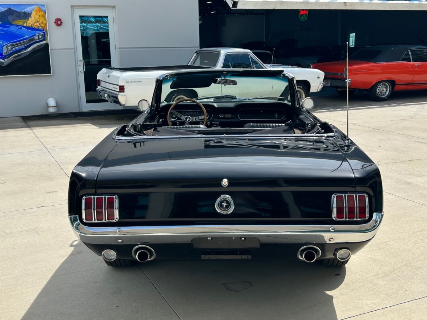 6-1748974415999-cedfdp