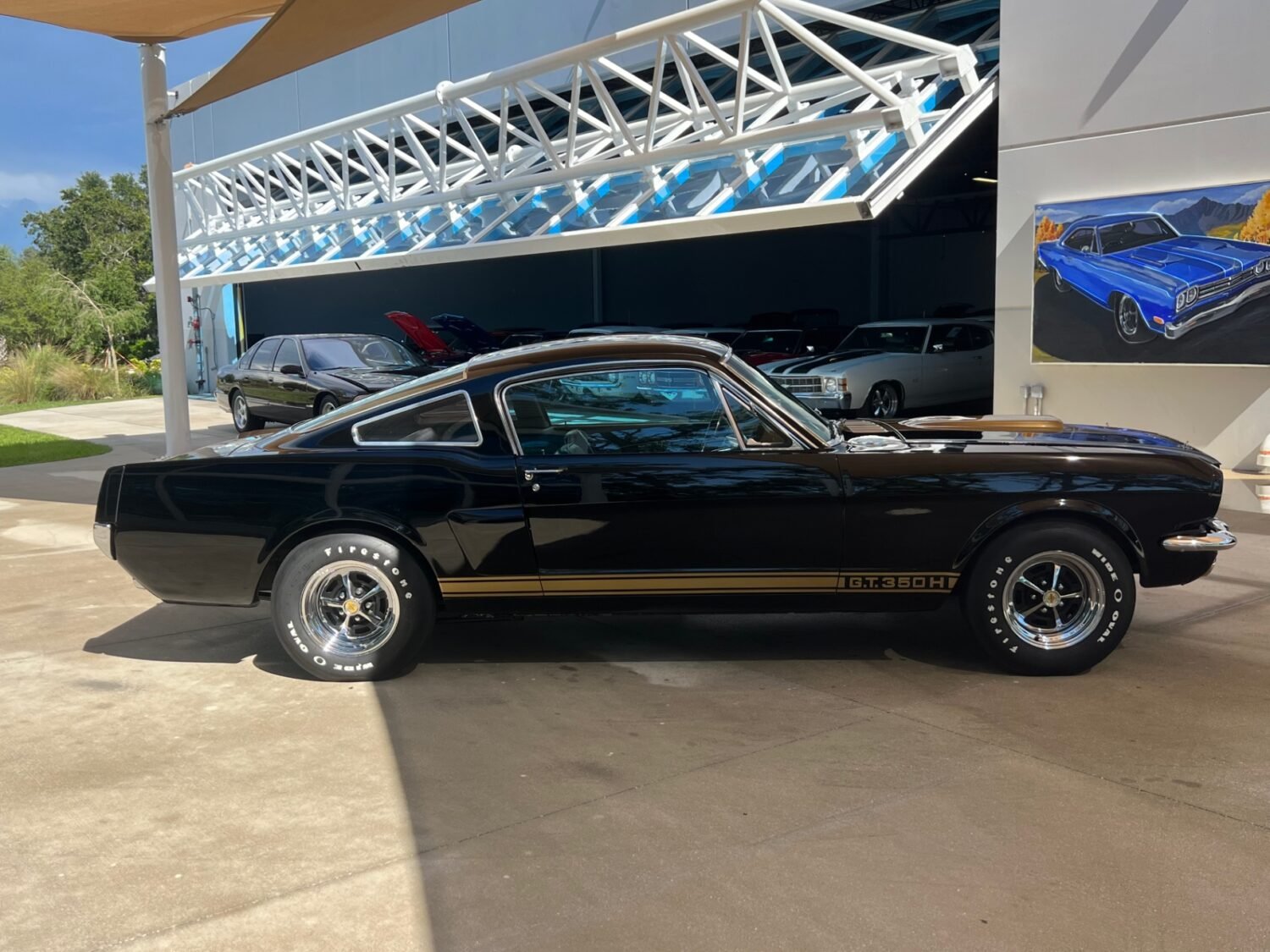 9-1748974672011-7btkbu